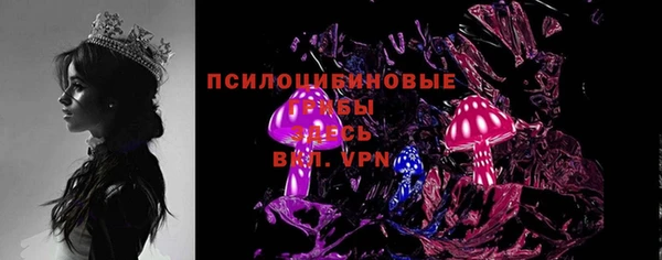 амф Белокуриха