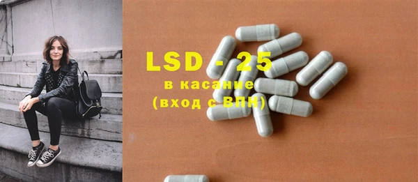 ПСИЛОЦИБИНОВЫЕ ГРИБЫ Баксан