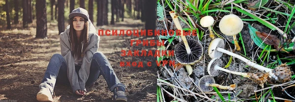 2c-b Балахна