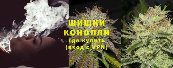 ПСИЛОЦИБИНОВЫЕ ГРИБЫ Баксан