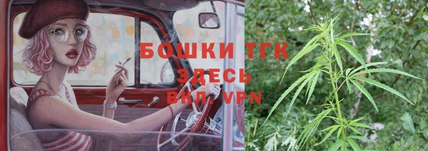 ПСИЛОЦИБИНОВЫЕ ГРИБЫ Баксан