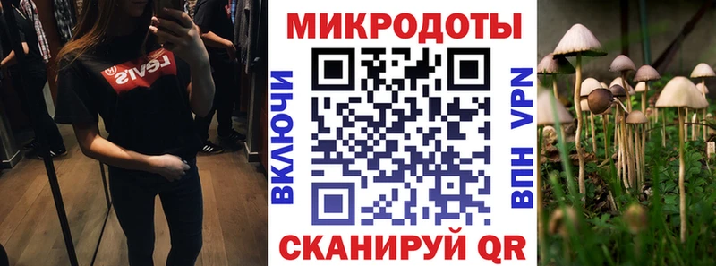 Псилоцибиновые грибы GOLDEN TEACHER  купить наркотик  сайты даркнета как зайти  Лесозаводск 