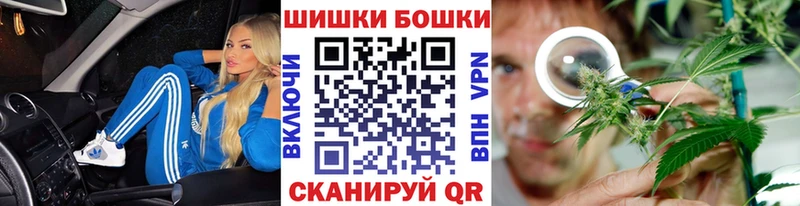 Бошки Шишки гибрид Лесозаводск